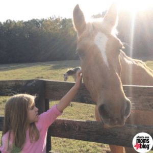 girl petting horse