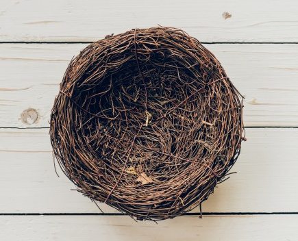 She's Leaving the Nest: How to Make it a GOOD Thing