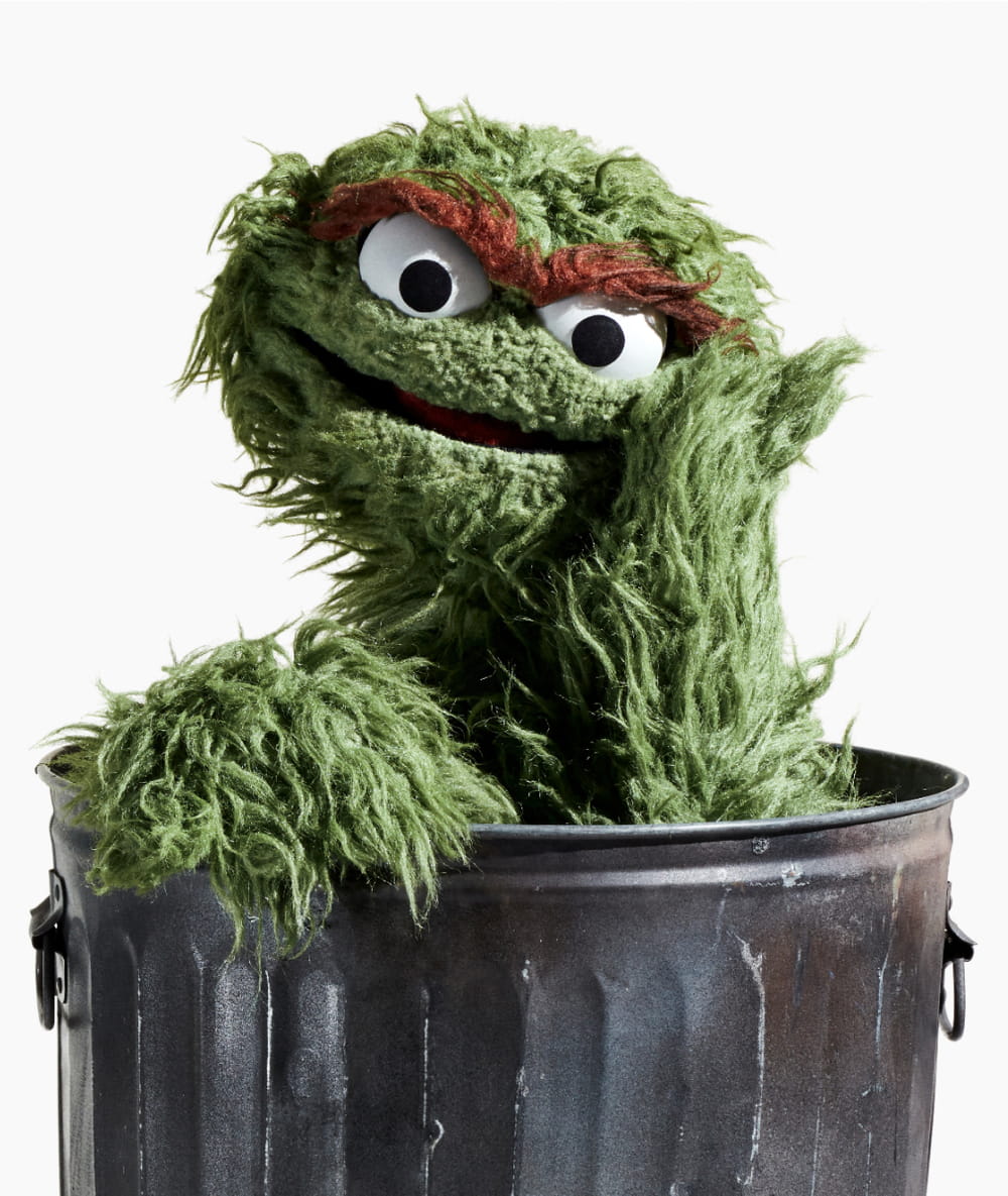 The Only Oscar that Matters in Our House is a Grouch