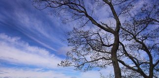North Georgia Favorite Places in Nature