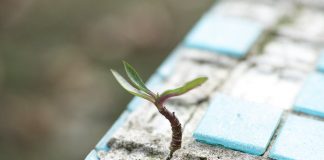 Are you striving, thriving, or surviving?