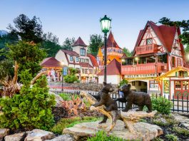 Fun Things To Do in Helen, Georgia