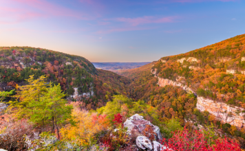 Best Places to See Fall Foliage in North Georgia