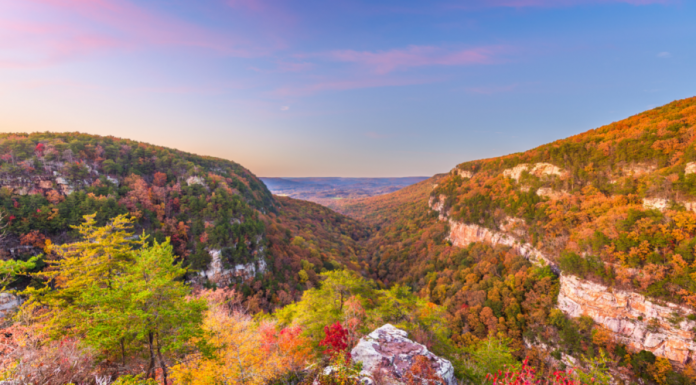 Best Places to See Fall Foliage in North Georgia
