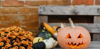 Boo! :: Halloween Fun for the Whole Family