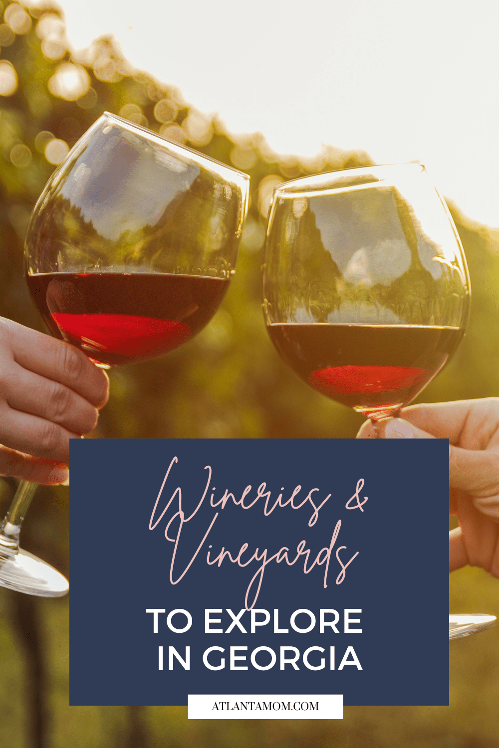 Wineries and Vineyards to Explore in Georgia