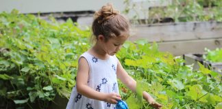 Gardening with Kids