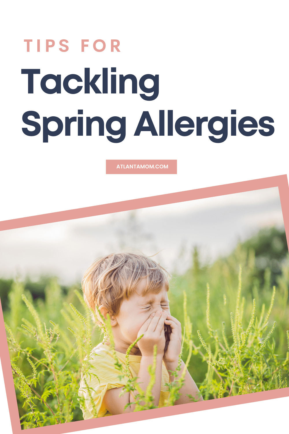 Tips for Tackling Spring Allergies