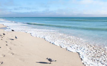 Florida Gulf Coast Beaches
