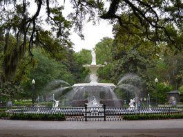 Spectacular Savannah: Tips and Tricks for Your Next Visit