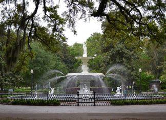 Spectacular Savannah: Tips and Tricks for Your Next Visit
