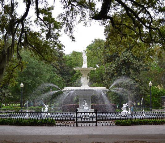 Spectacular Savannah: Tips and Tricks for Your Next Visit