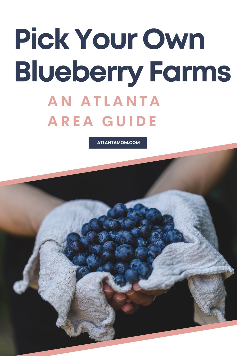 Atlanta Area Pick-Your-Own Blueberry Farms