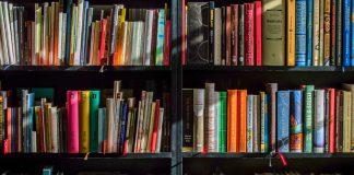 Summer Reading List for Mom