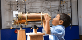 Atlanta Area Museums and Exhibtions