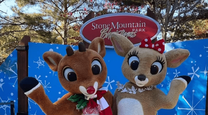 Stone-Mountain-Christmas-5