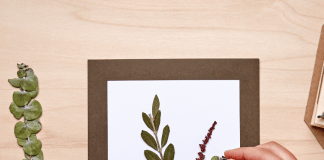 Takaki Zome: Natural Dye Art