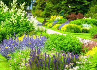 Botanical Gardens In and Around Atlanta