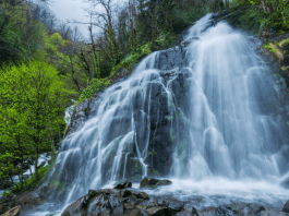 Georgia Waterfalls