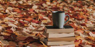 Cozy Fall Romance Reads
