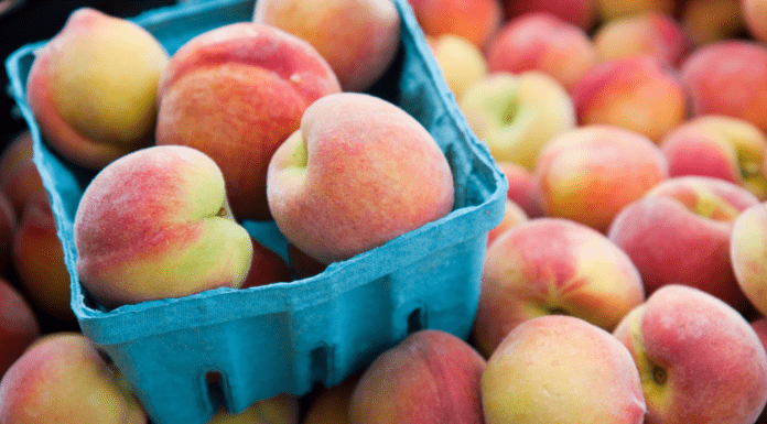 5 Peach Farms in the Atlanta Area