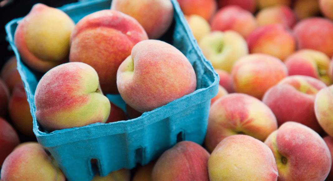 5 Peach Farms in the Atlanta Area