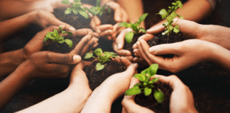 Celebrating Earth Day in Atlanta: A Guide for 2024