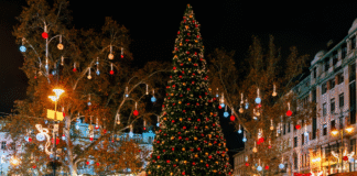 Atlanta Holiday Guide:: Holiday Tree Lightings