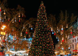 Atlanta Holiday Guide:: Holiday Tree Lightings