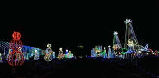 Atlanta Holiday Guide :: Atlanta Holiday Light Displays