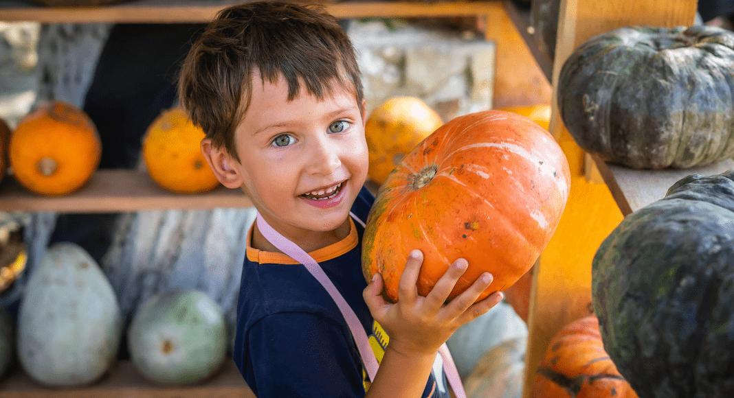 Atlanta Family Events Guide to October 2025 Atlanta Family Events Guide to October 2025
