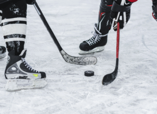 Family Guide to Atlanta Gladiators Hockey at Gas South Arena