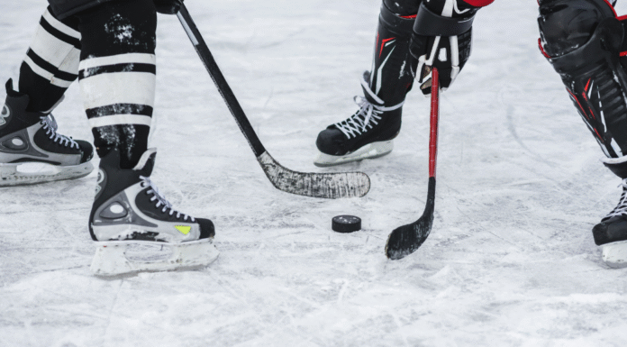 Family Guide to Atlanta Gladiators Hockey at Gas South Arena