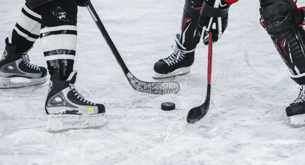 Family Guide to Atlanta Gladiators Hockey at Gas South Arena