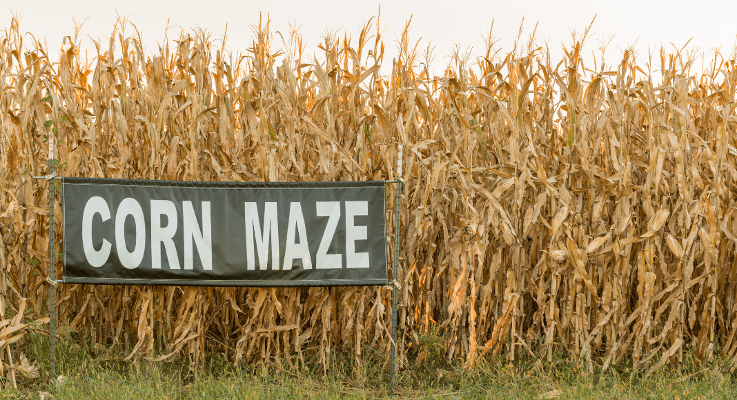 Fall Inspired Activities to do with Your Teen