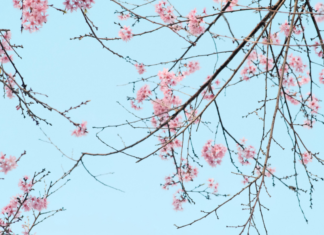 Atlanta Family Events Guide to April 2026