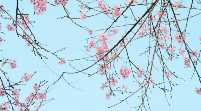 Atlanta Family Events Guide to April 2026