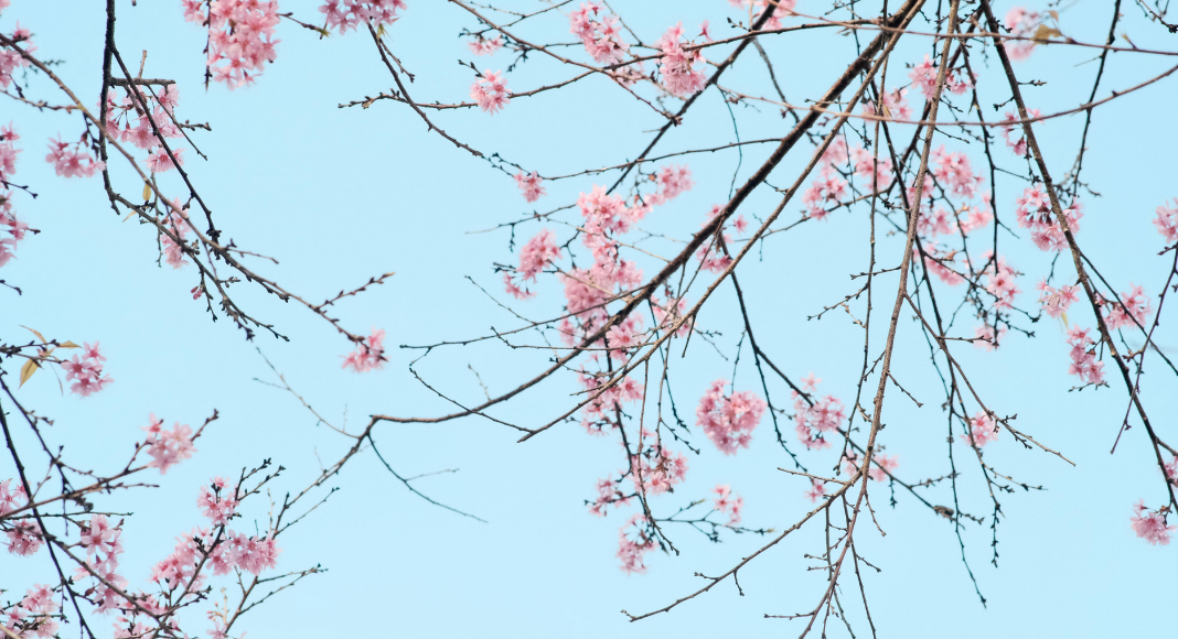 Atlanta Family Events Guide to April 2026