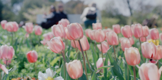 Atlanta Family Events Guide to May 2026