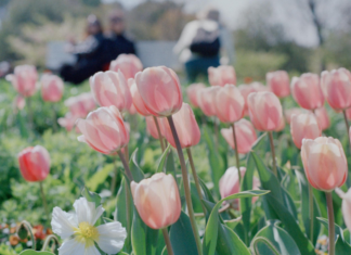 Atlanta Family Events Guide to May 2026