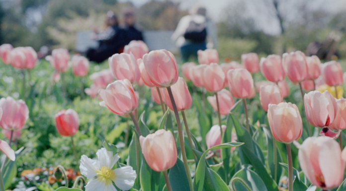 Atlanta Family Events Guide to May 2026