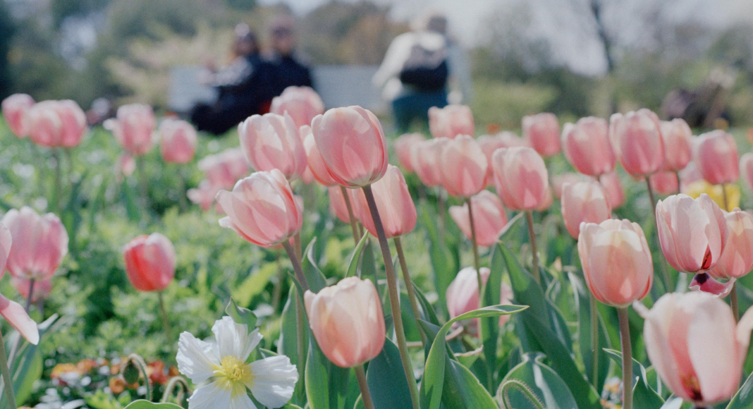 Atlanta Family Events Guide to May 2026