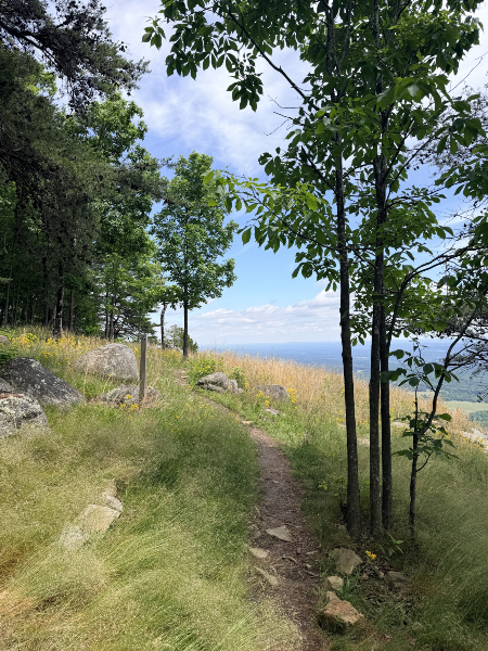Trail at McLemore